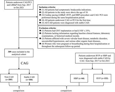 Feasibility and safety of left bundle branch area pacing for patients with stable coronary artery disease